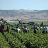 farmworkers